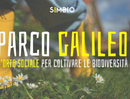 Parco Galileo – L’orto sociale per coltivare la biodiversità